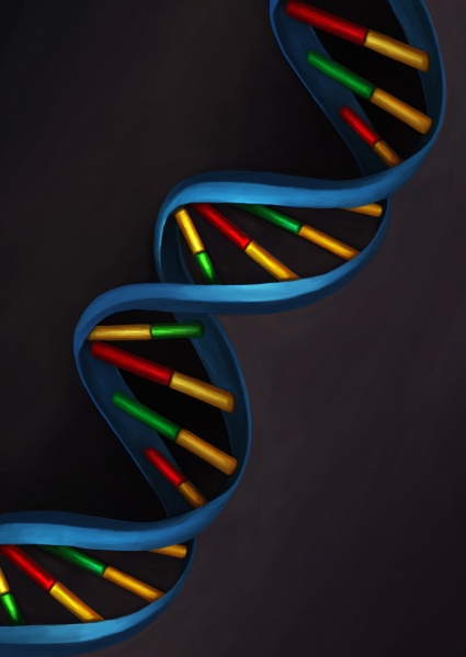 File:Dna.jpg